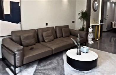 大誠(chéng)金廷7-03吳總雅居	