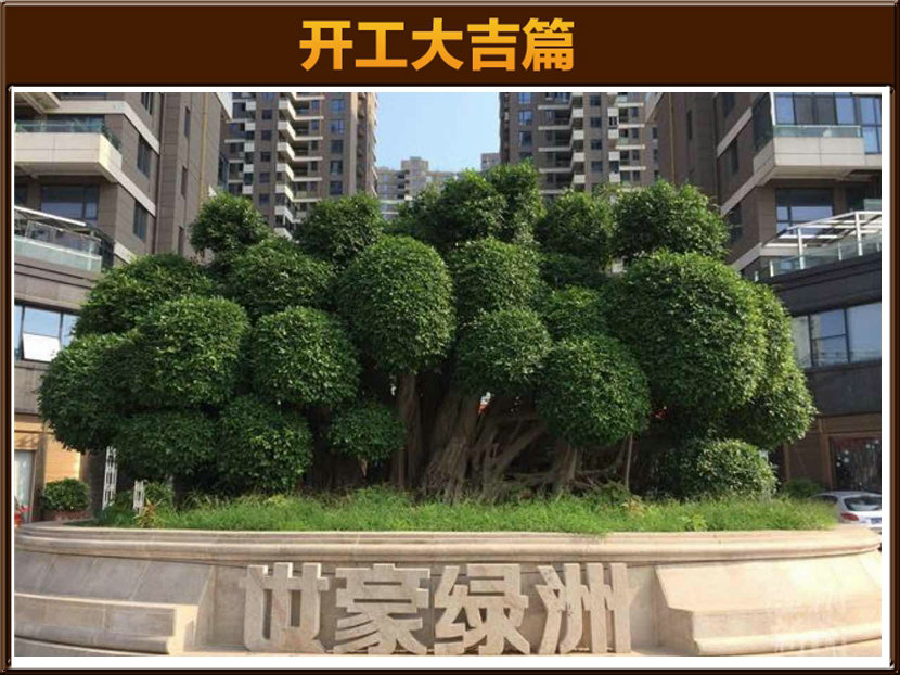 世豪綠洲4-2806周先生